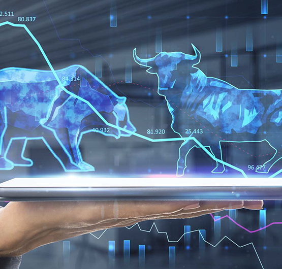 Strategic Investor Institute Launch
